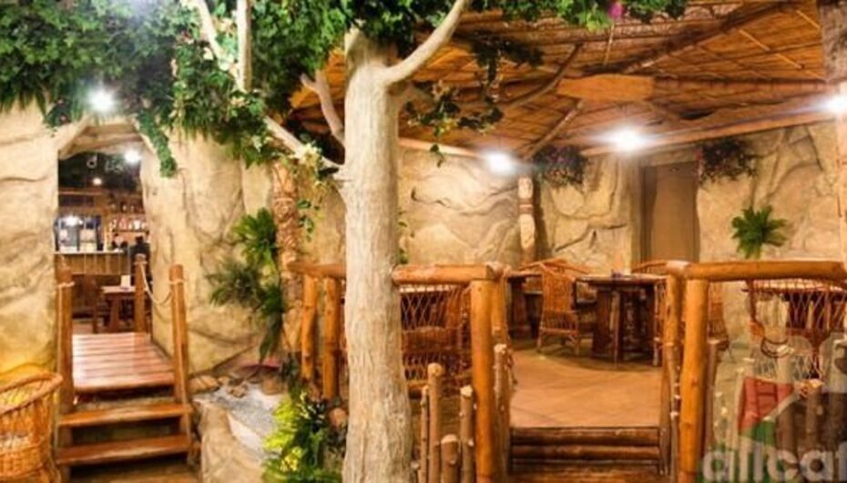 Кафе-бар Jungle bar / Джунгли Бар