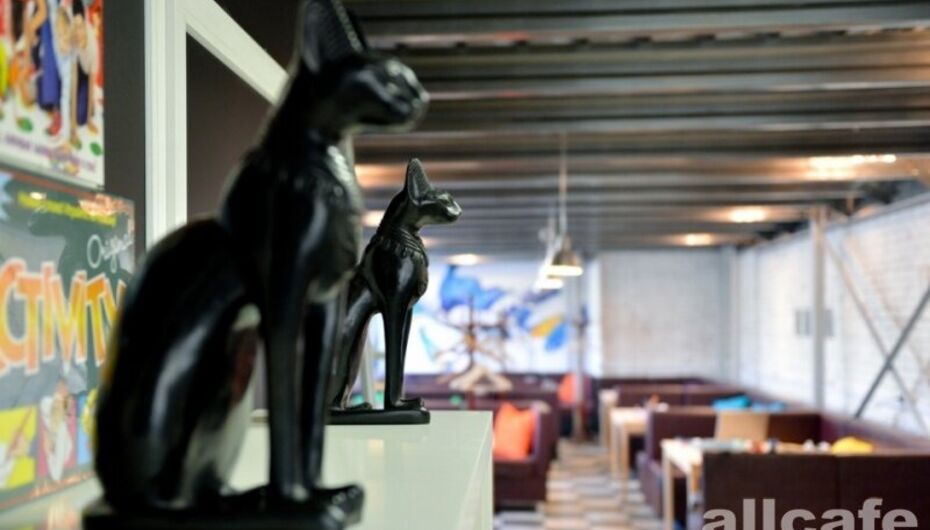 Кафе Три кота