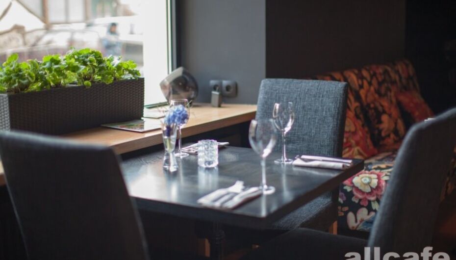 Отзывы о кафе Бурый лис и ленивый пёс