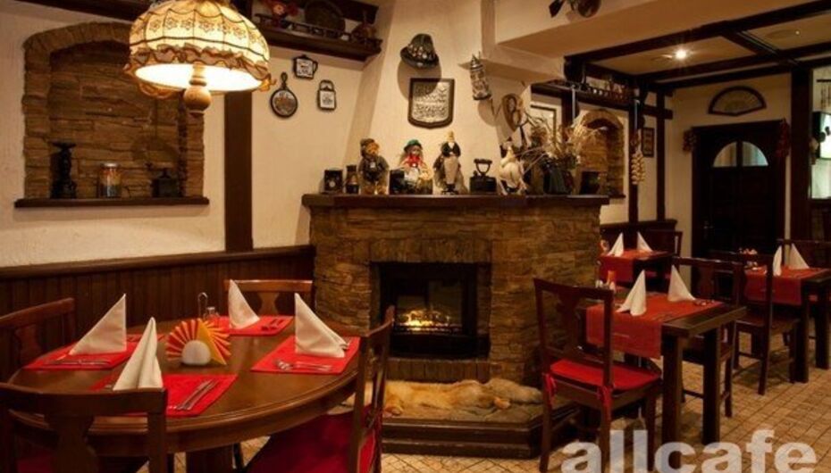 Отзывы о кафе-баре Лиса и Фазан