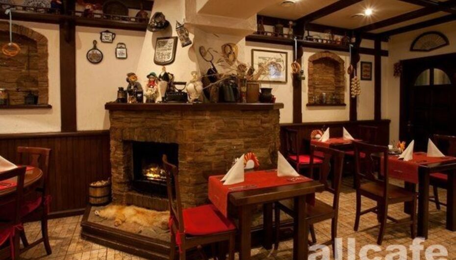 Отзывы о кафе-баре Лиса и Фазан