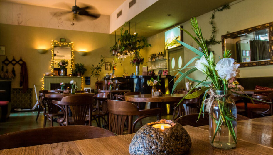 Кафе Ботаника