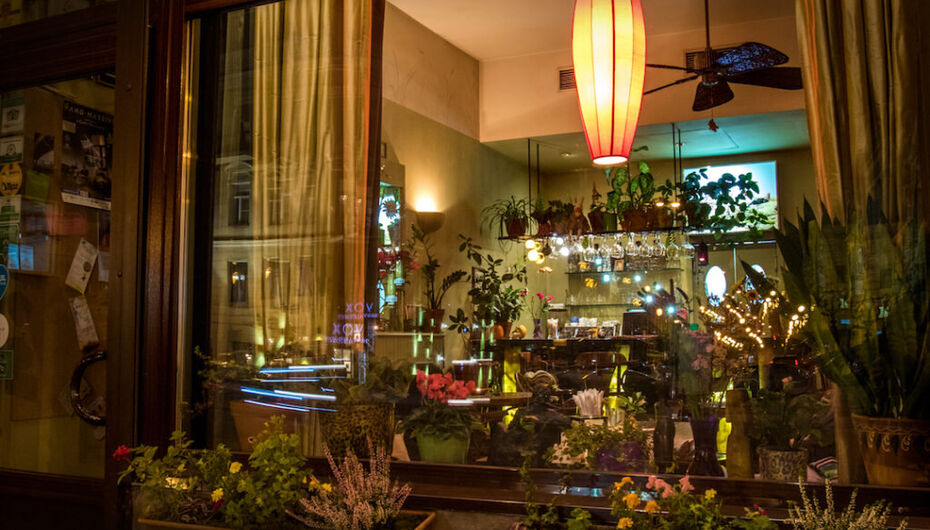 Кафе Ботаника