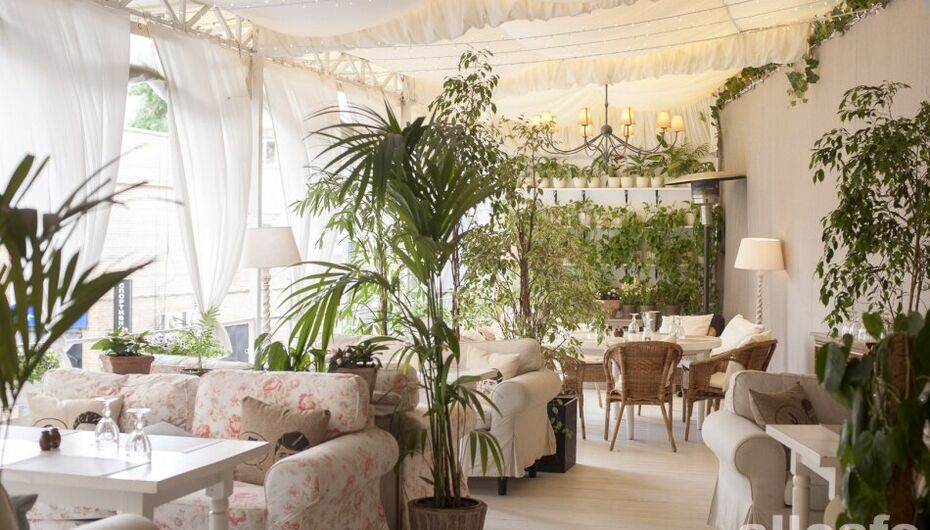 Отзывы о ресторане Нани