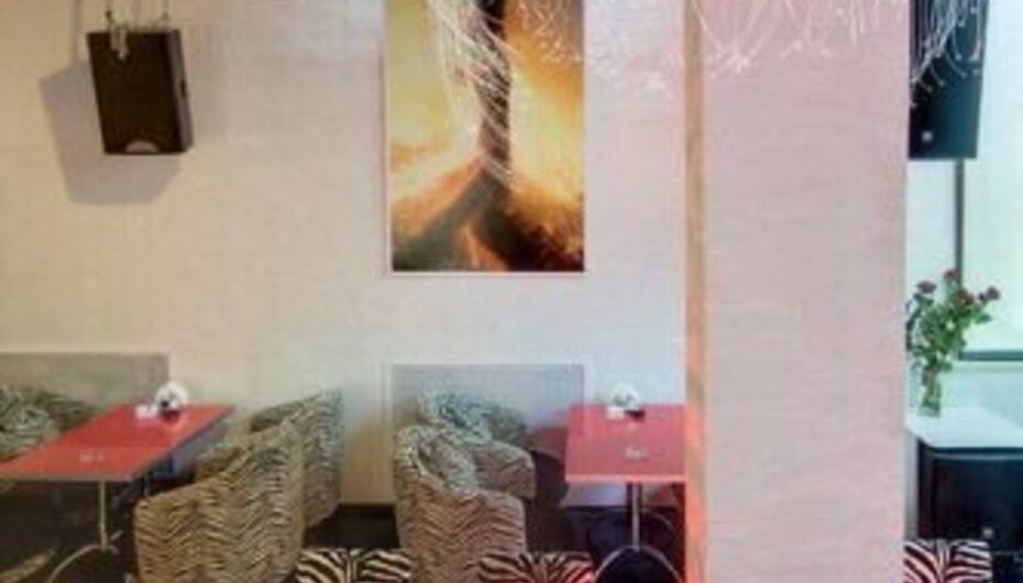 Караоке-бар Зебра