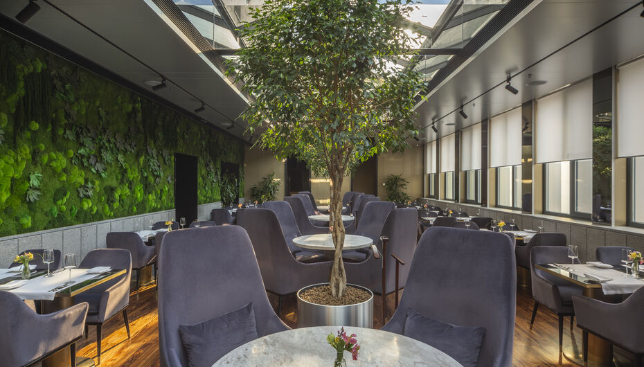 Ресторан Nok