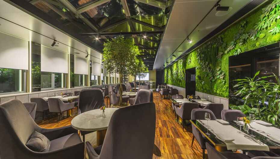 Ресторан Nok