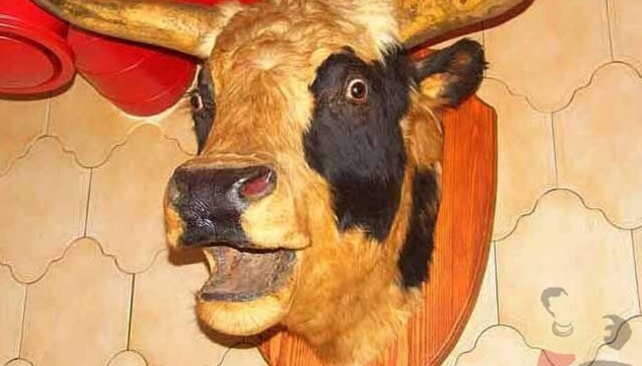 Кафе Сиеста / Матадор