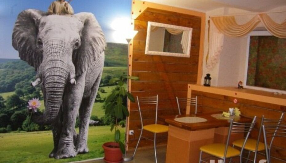 Отзывы о кафе Белый Слон