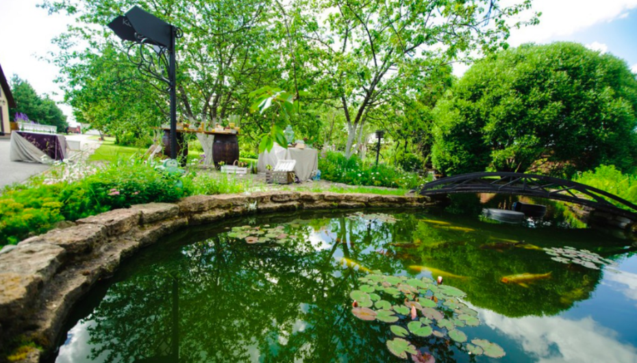 Банкетный зал Усадьба Кобрино