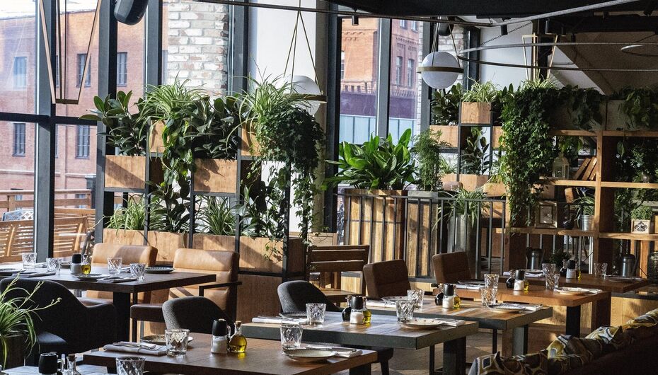 Отзывы о ресторане Сыроварня