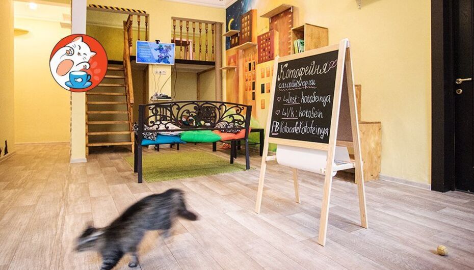 Отзывы о кофейне Котофейня