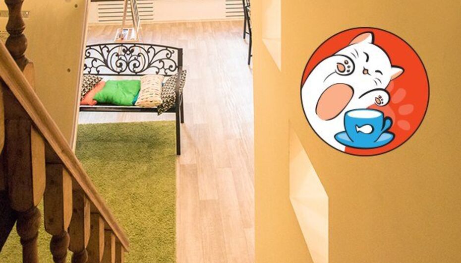 Отзывы о кофейне Котофейня