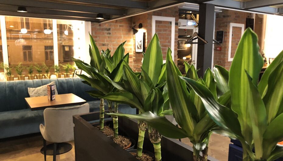 Ресторан ОАЗИС ДЕСЕРТ