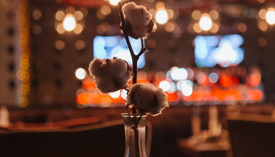 Ресторан Мало половин