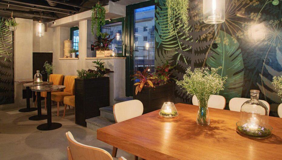 Бар Ботанист