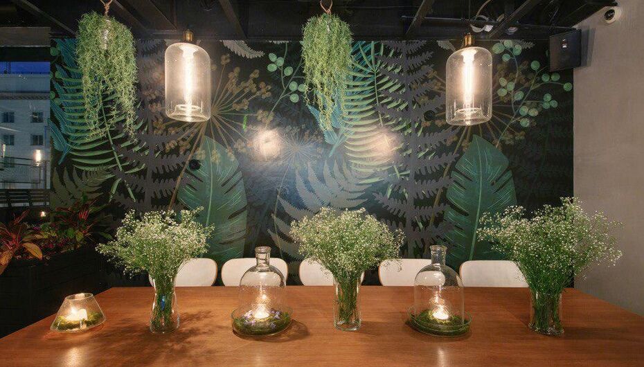 Бар Ботанист