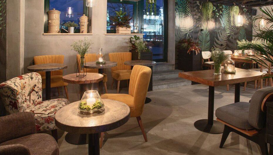 Бар Ботанист