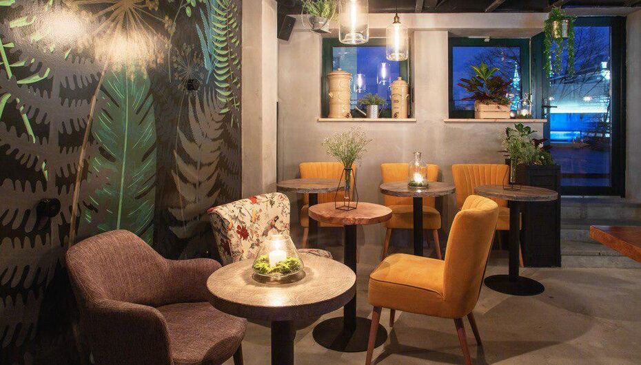 Бар Ботанист