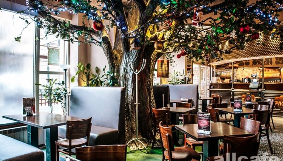 Отзывы о бистро Флора