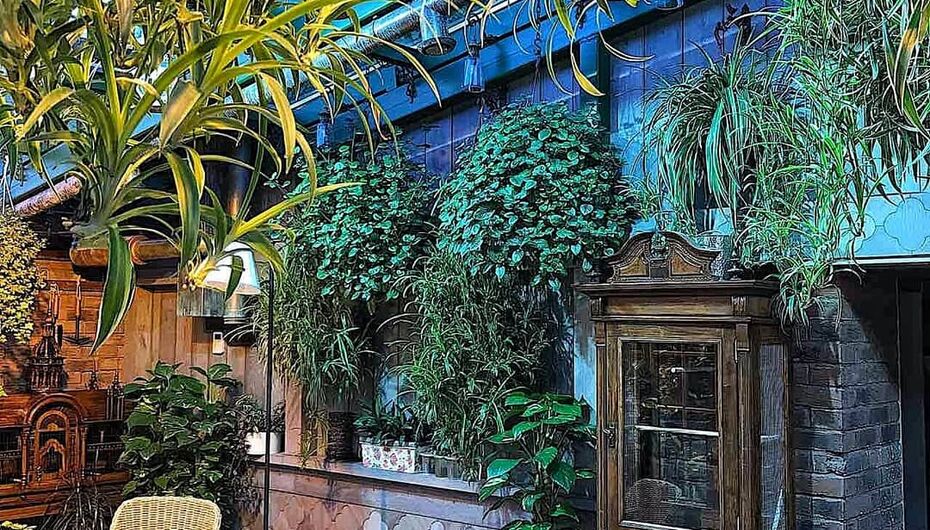 Пивоварня Blackwood