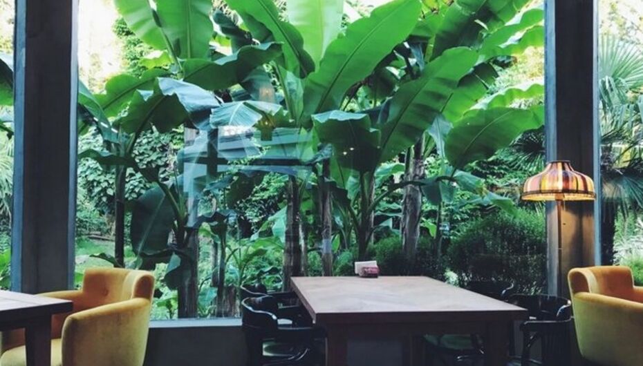 Ресторан Rustaveli