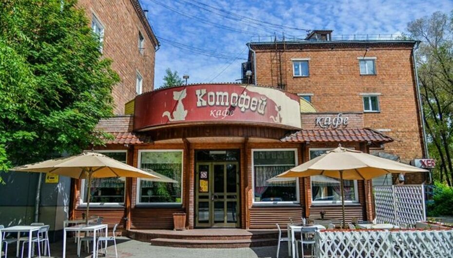 Котофей ул ивана ярыгина 24 абакан фото Отзывы о кафе Котофей в Абакане