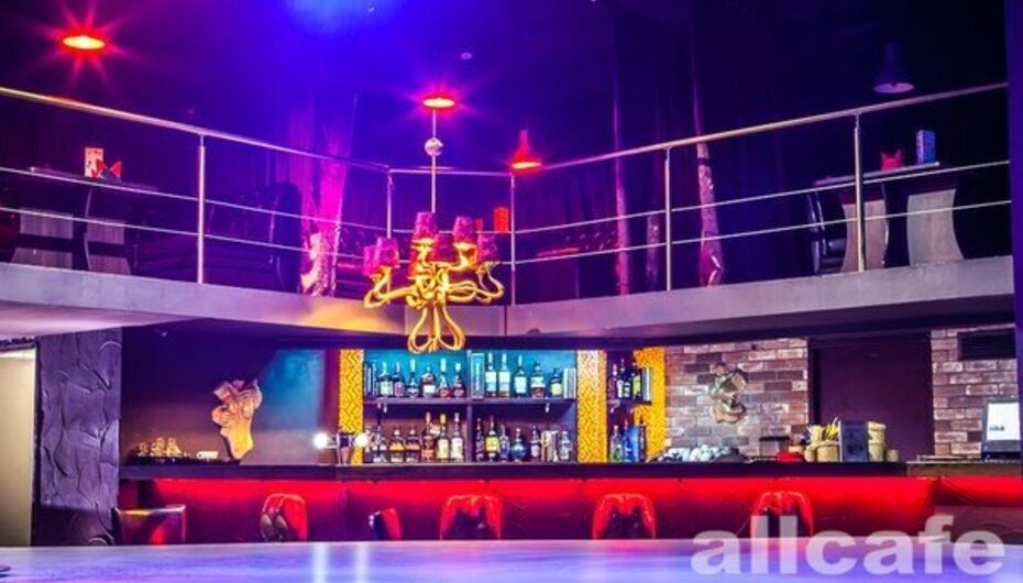 Бар Безумный питон