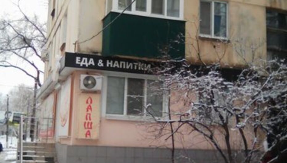 Панда