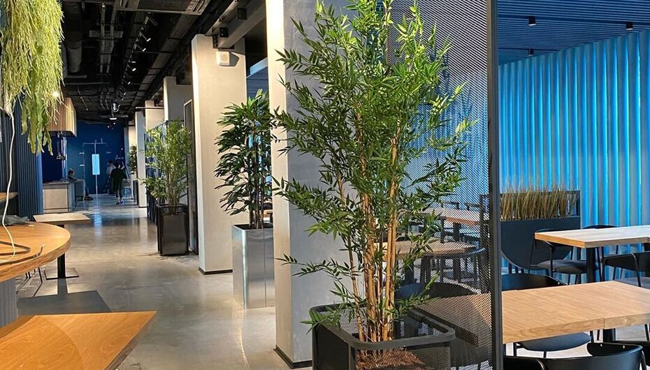 Ресторан Diamond Club