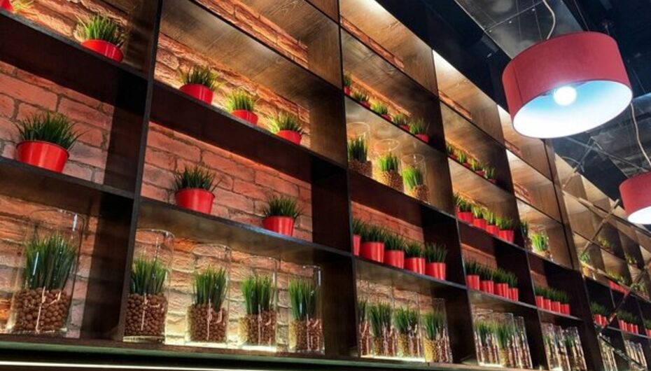 Бар Шашлыкоff