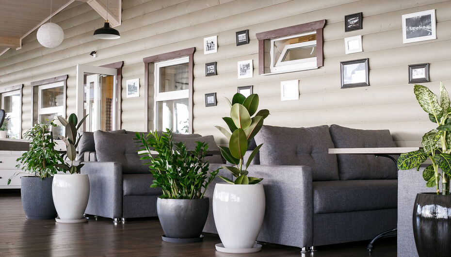 Ресторан Жемчужина