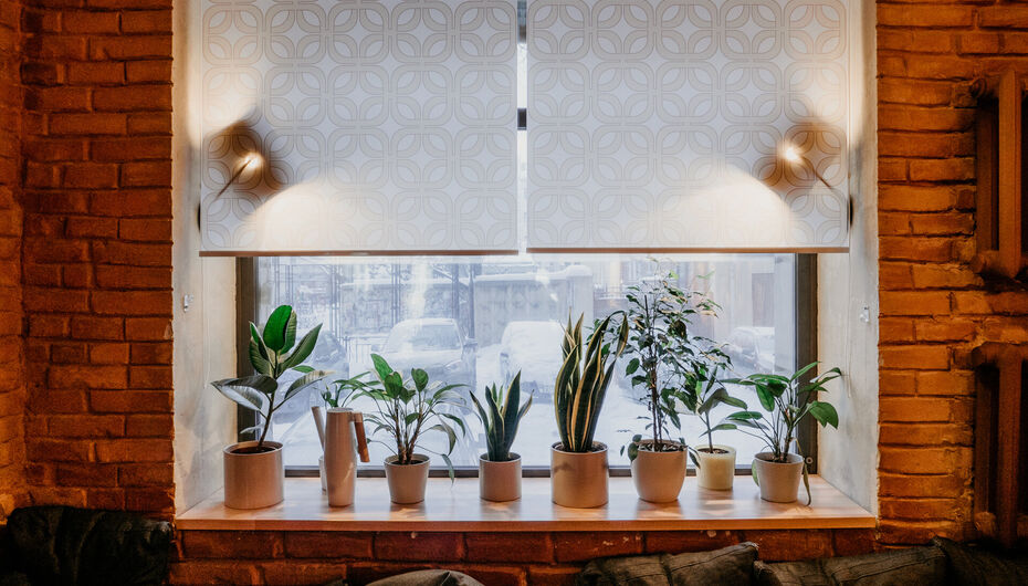 Бар Бакунин