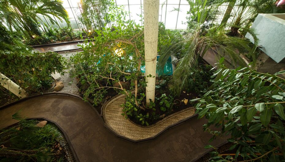 Банкетный зал ENTRACTE