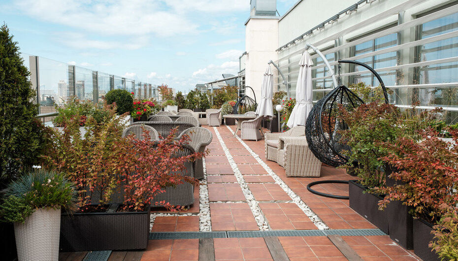 Ресторан Доктор на крыше