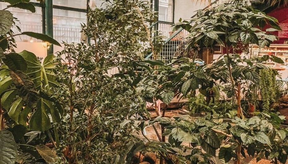 Кофейня Chocolate Bar Secret Garden