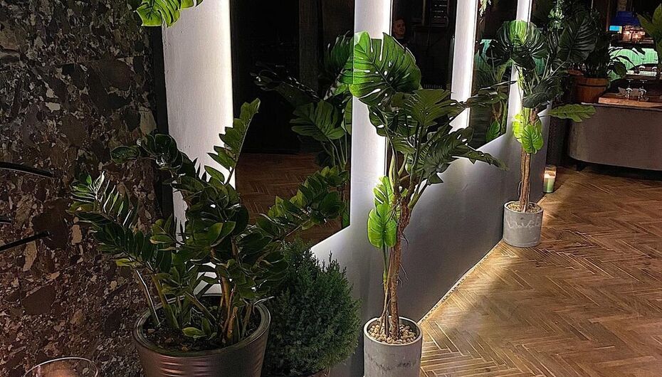 Ресторан Maer