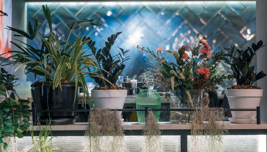 Ресторан Тенили