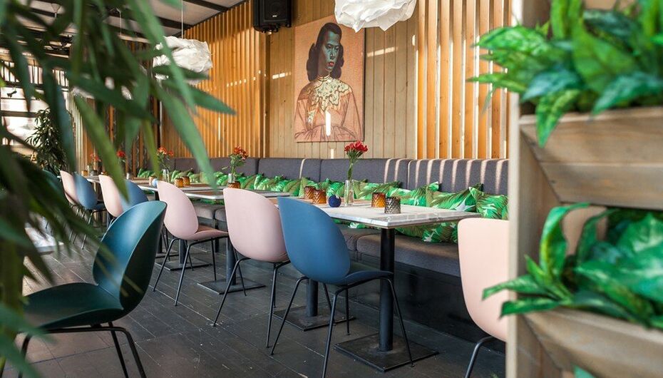 Ресторан MOMO pan asian kitchen