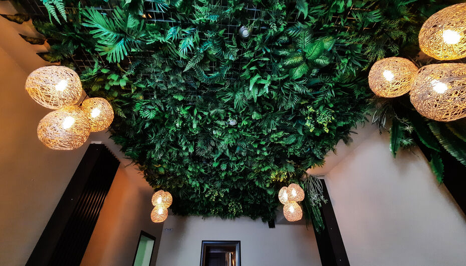 Отзывы о ресторане ZEBRA