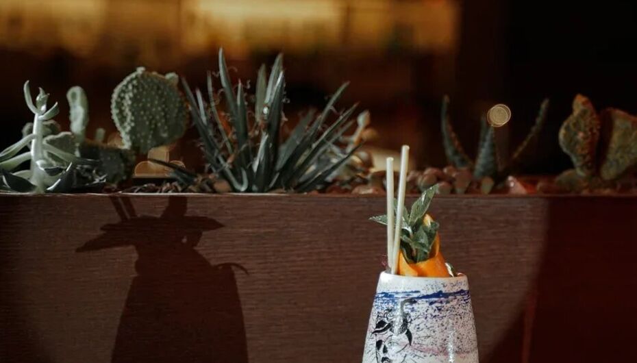 Отзывы о баре Pasota