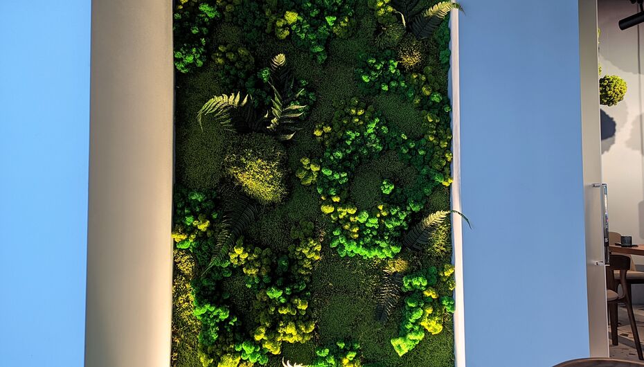 Отзывы о ресторане Elm