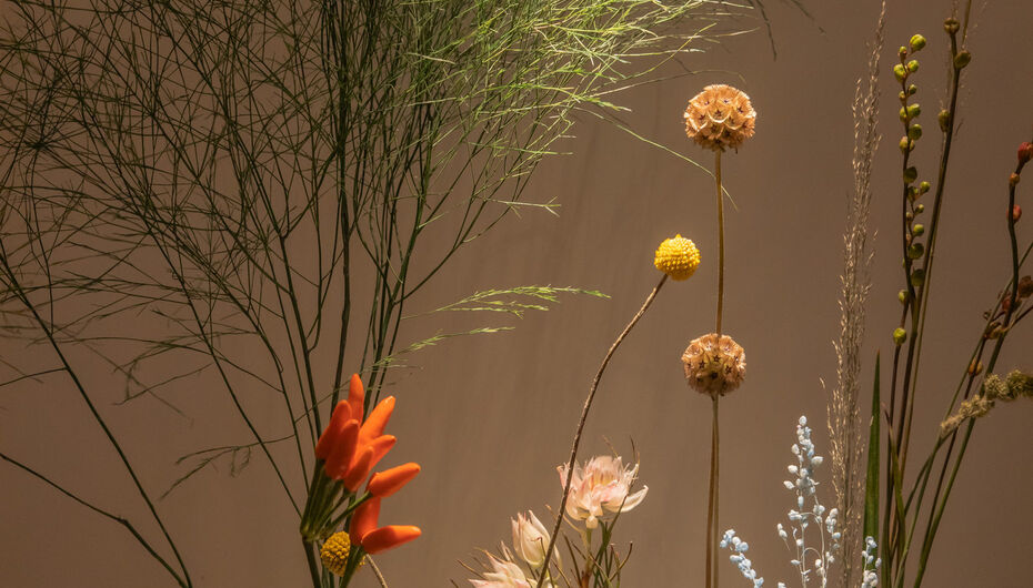 Ресторан Alice