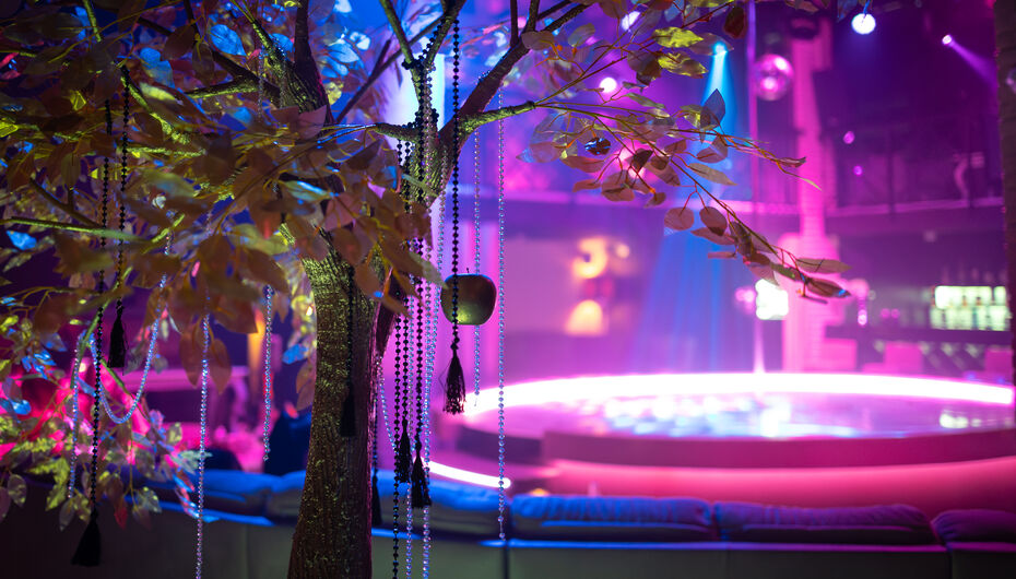 Отзывы о клубе Elysium Hall