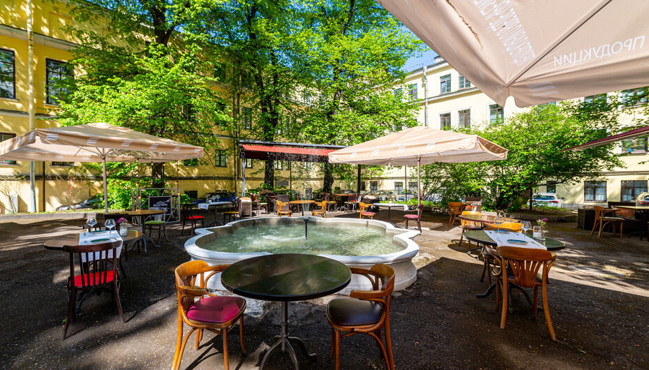 Отзывы о летнем проекте Шато Терра