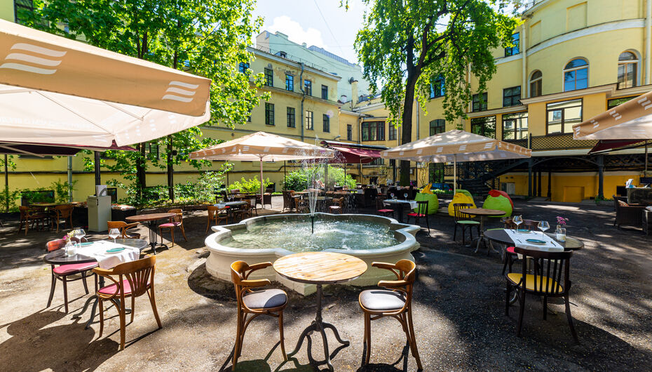 Отзывы о летнем проекте Шато Терра