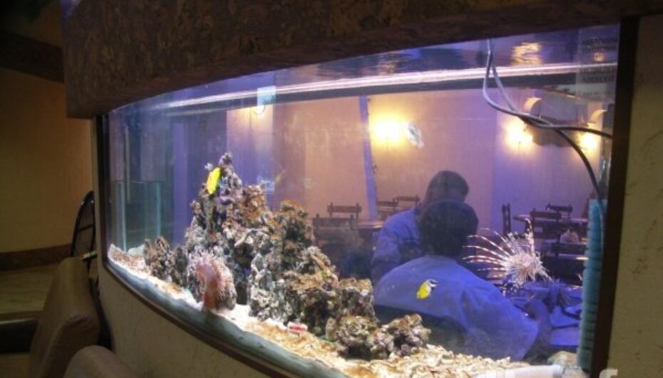 Отзывы о развлекательном центре Шарики