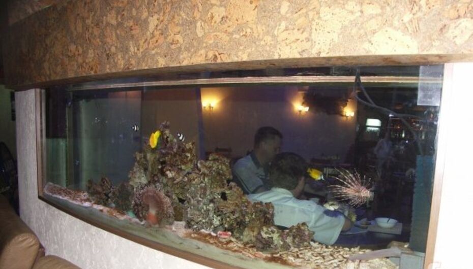 Отзывы о развлекательном центре Шарики