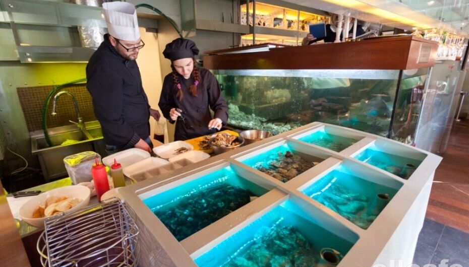 Отзывы о ресторане La Perla Fish House