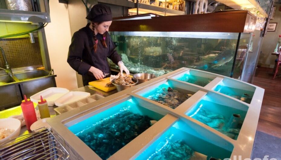 Отзывы о ресторане La Perla Fish House